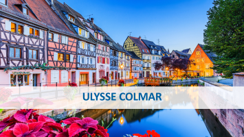 portrait – vincent tritz ulysse haut rhin – agence de colmar